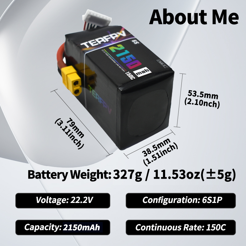 TERFPV Lipo Battery 6S 22.2V 1 - Drone Rc Board ulasan dan harga